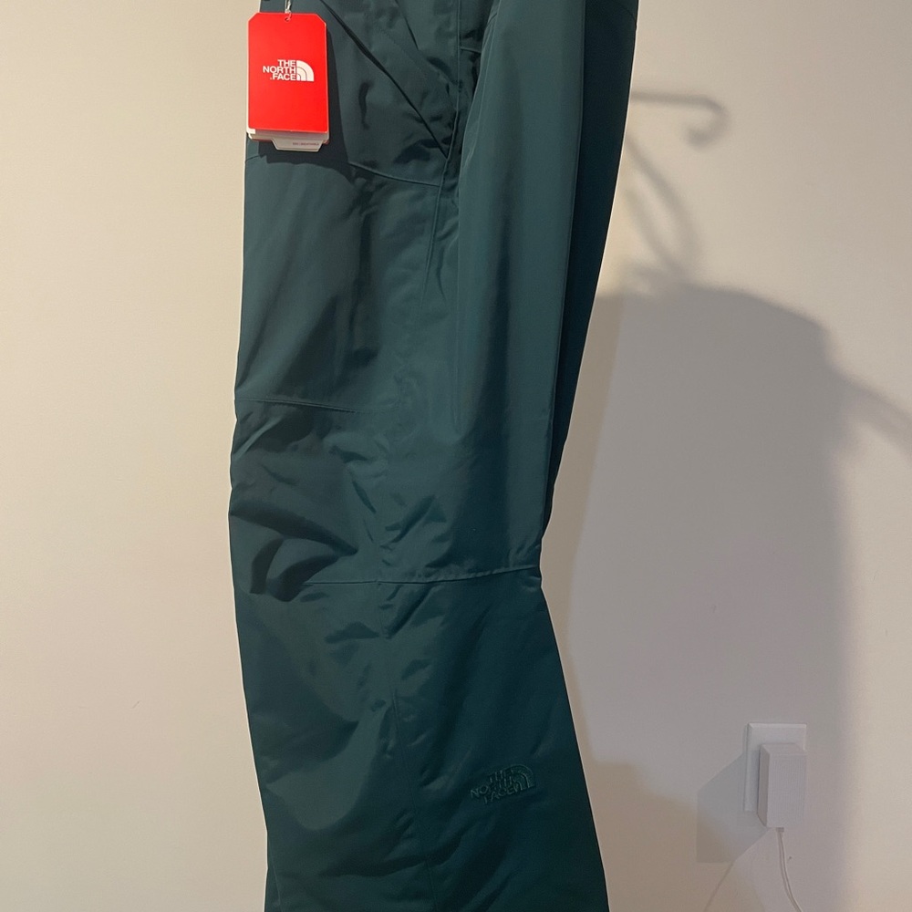 The North Face Teal DryVent Pants